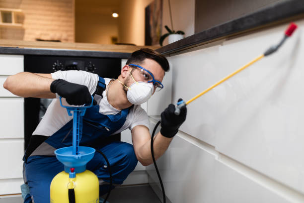 Best Best Pest Control Companies  in Aberdeen, MS