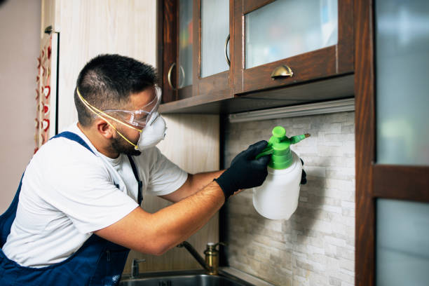 Best Exterminator Services  in Aberdeen, MS
