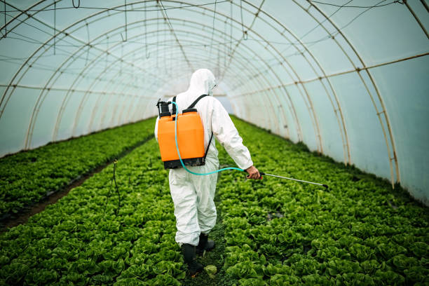 Best Pest Prevention Services  in Aberdeen, MS