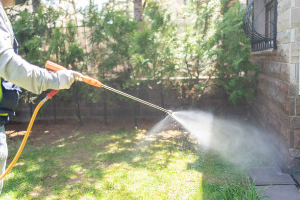 Best Local Pest Control Services  in Aberdeen, MS