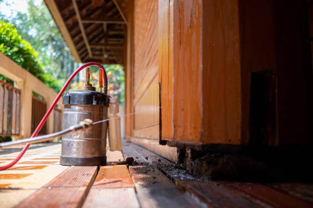 Best Affordable Exterminators  in Aberdeen, MS