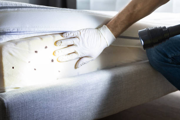 Best Bed Bug Extermination  in Aberdeen, MS