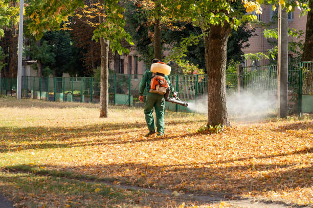 Best Cockroach Control Services  in Aberdeen, MS
