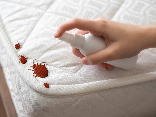 Best Bed Bug Extermination  in Aberdeen, MS