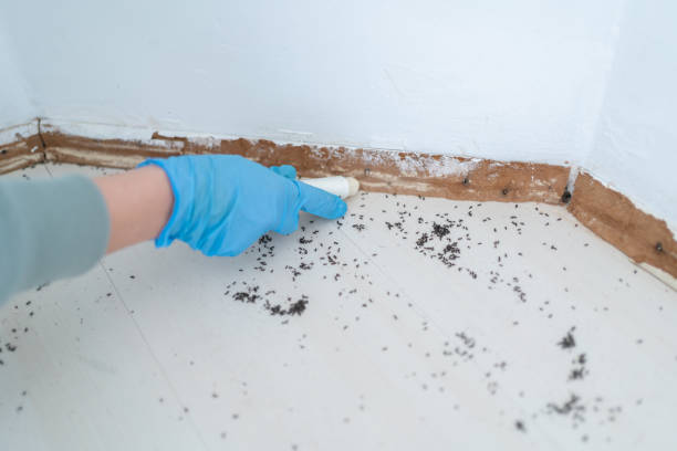 Best Affordable Pest Control Services  in Aberdeen, MS